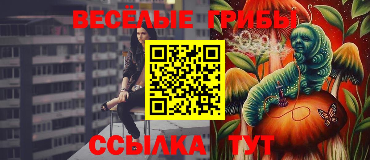 Псилоцибиновые грибы мухоморы Самара