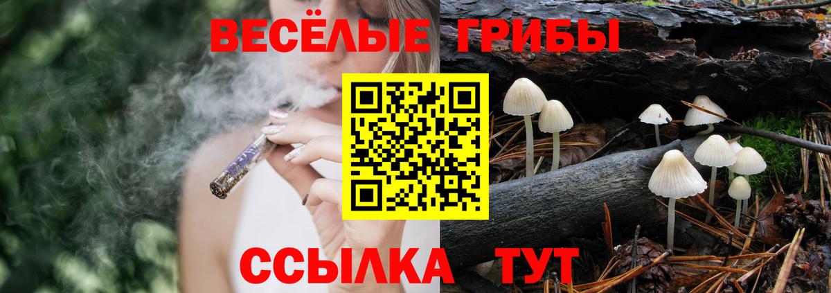 Псилоцибиновые грибы Psilocybe  закладки  Самара  Вход с VPN 